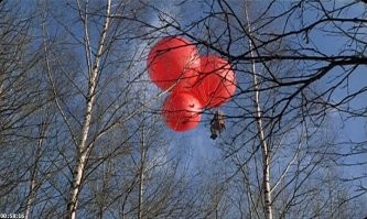 Этот способ охоты еще в учебники войдет! А, может и в аналы!