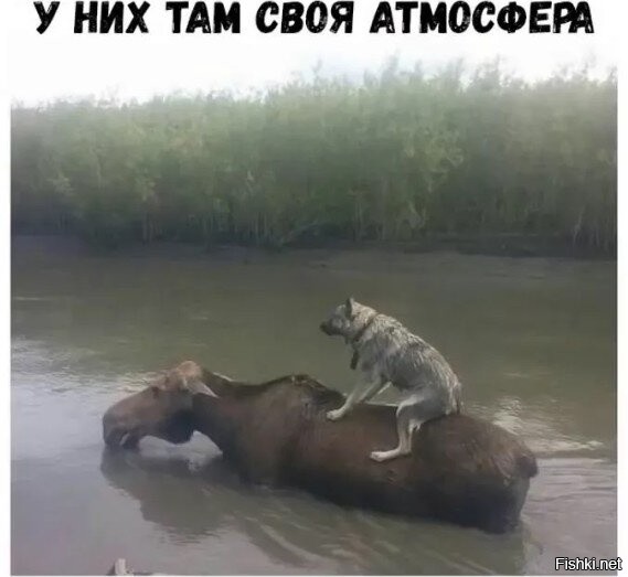 История человека с ужасным характером