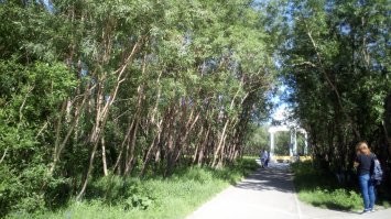 Всё вразнобой