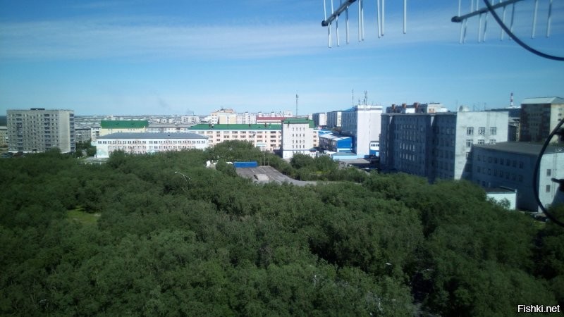 Всё вразнобой