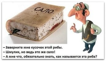 Так вроде ж сало не кошерно? Или это так?