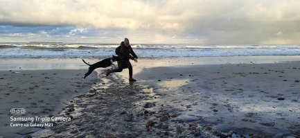 Мои девоньки. Обе подобранки с улицы маленькими щенюшками. Старшая Гера. Милая, добрая, флегматичная и преданная. С одного момента приняла вторую малышку Нору. Воспитывала и опекала её. Младшая Нора. На фото около трёх месяцев, недавно с нами.  А теперь она летает! Красотка! Скоростная и изящная. Обожаю моих девочек. Они такие разные, но такие замечательные!