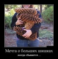 Кому-то лечиться надо: самый пошлый пост на Фишках