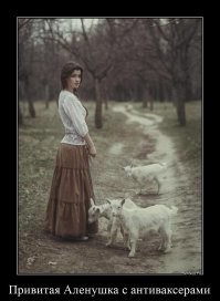 Всё вразнобой