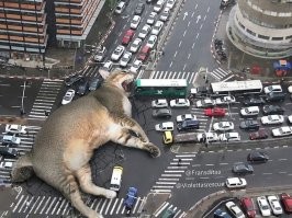 Годзилла Котзилла!) Японская тема жеж!)