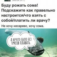 Скрины из соцсетей