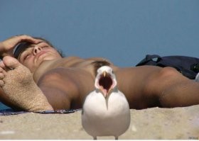 Намешалось