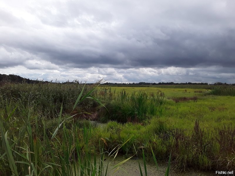Ничего не скажешь фото прекрасны, места необыкновенные. Но даже мне, не специалисту видно что большинство фото обработаны. Нет, конечно профи и должны доводить до совершенства свои работы, но как то теряется настоящесть, живость, изюминка.
 Вот мои фото, вообще сняты на прогулке с собаками на телефон, безо всяких фильтров.Радугу сняла ожидая автобус перед работой. Два последних не мои. Это снято во время последнего шторма Надя. Веселилась у нас всё прошлое воскресенье.  Разве не более чувствуется в них именно живое и захватывающее дух?