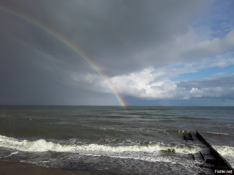 Ничего не скажешь фото прекрасны, места необыкновенные. Но даже мне, не специалисту видно что большинство фото обработаны. Нет, конечно профи и должны доводить до совершенства свои работы, но как то теряется настоящесть, живость, изюминка.
 Вот мои фото, вообще сняты на прогулке с собаками на телефон, безо всяких фильтров.Радугу сняла ожидая автобус перед работой. Два последних не мои. Это снято во время последнего шторма Надя. Веселилась у нас всё прошлое воскресенье.  Разве не более чувствуется в них именно живое и захватывающее дух?