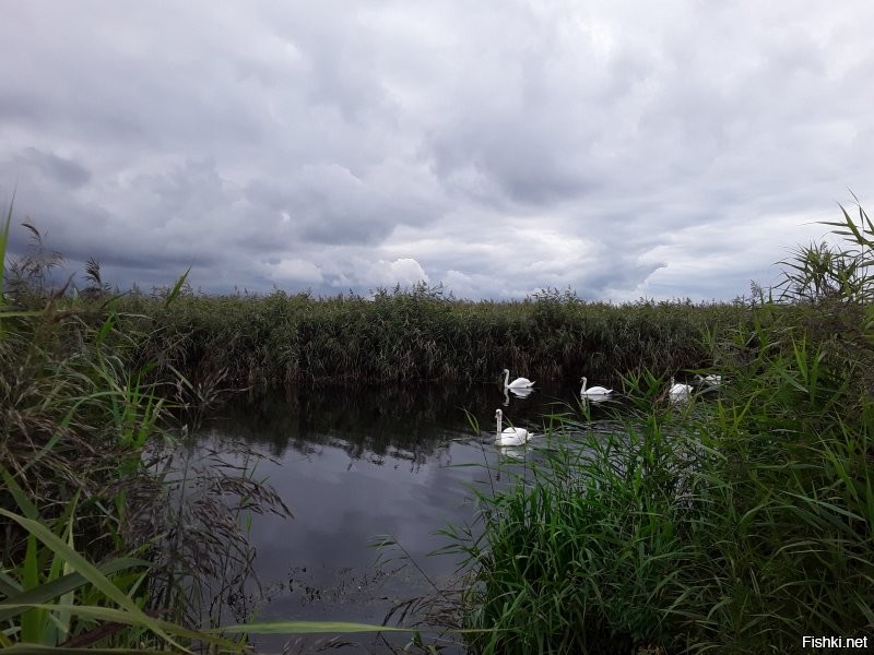 Ничего не скажешь фото прекрасны, места необыкновенные. Но даже мне, не специалисту видно что большинство фото обработаны. Нет, конечно профи и должны доводить до совершенства свои работы, но как то теряется настоящесть, живость, изюминка.
 Вот мои фото, вообще сняты на прогулке с собаками на телефон, безо всяких фильтров.Радугу сняла ожидая автобус перед работой. Два последних не мои. Это снято во время последнего шторма Надя. Веселилась у нас всё прошлое воскресенье.  Разве не более чувствуется в них именно живое и захватывающее дух?