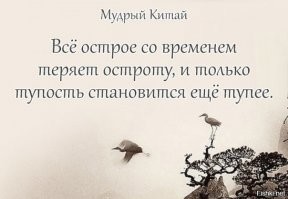 Спонсором этого поста стали производители тормозной жидкости