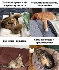 Смешные и познавательные картинки