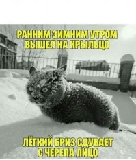 Фотоподборка