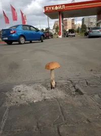 Остановка Петрозаводск