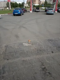 Это еще не все интересное в городе!
Вот еще необычный Петрозаводск