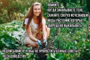 28 простых правил безопасности, которые должен знать каждый