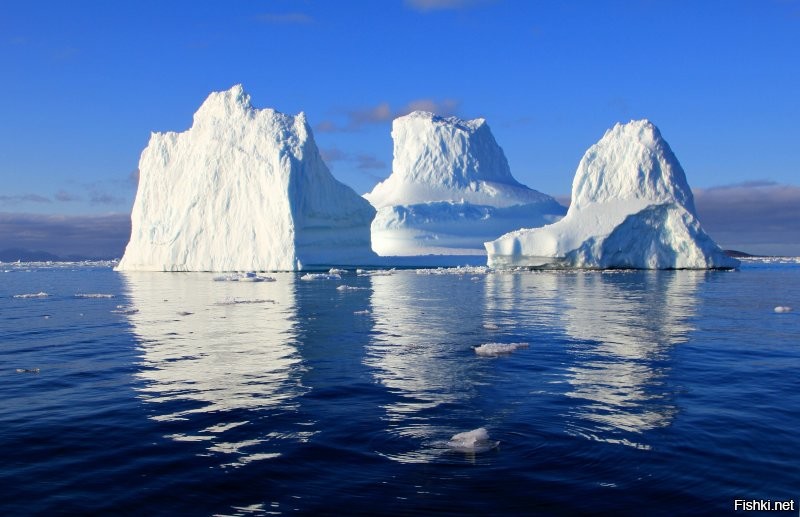 Группа айсбергов уже откололась от Гренландии? Кто старший?