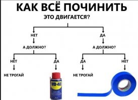 Смешные и познавательные картинки