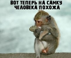 В Белгороде сотрудники ДПС задержали "итальянку", на которую наехал шлагбаум