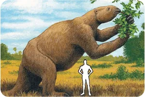 Ленивец был тоже не компактный.