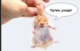 Из этих, что ли, скорбный?