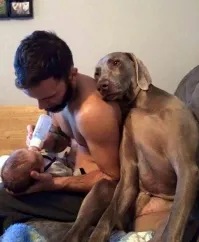 Дорогой, ну хоть на выходных займись ребенком! Я устала, как собака