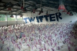 Убойные утверждения и наблюдения, с которыми сложно поспорить