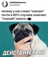 Потому что лучше один раз увидеть, чем сто раз услышать.