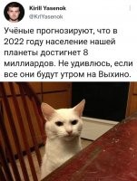 Не достигнет. Обязательно найдётся очередной мудлан, который сожрёт какую-нить летучую мышь.
