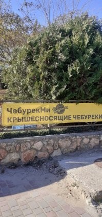 2017 г. )))