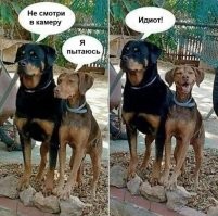 Да всегда как люди...