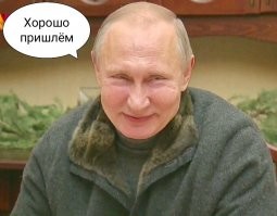 «План Путина»: в Ливии задержали крупную партию гашиша с портретом президента России