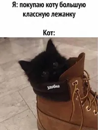 Это бутсы Тиберлен, и котёнок прав - дорогие, сцуко, но реально удобные, мягкие, при этом отлично держат голеностоп,:нога не подворачивается, ну и хоть нет меха, почему то тёплые. Мне друг подарил из Израиля, у нас в Воронеже примерно 20-25к стоят. Ношу , и балдею. Котэ красавчик !!