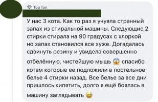 Калейдоскоп позитива. Выпуск 87