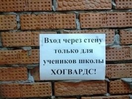 Сотрудники НИИ ЧАВО немножко расстроены