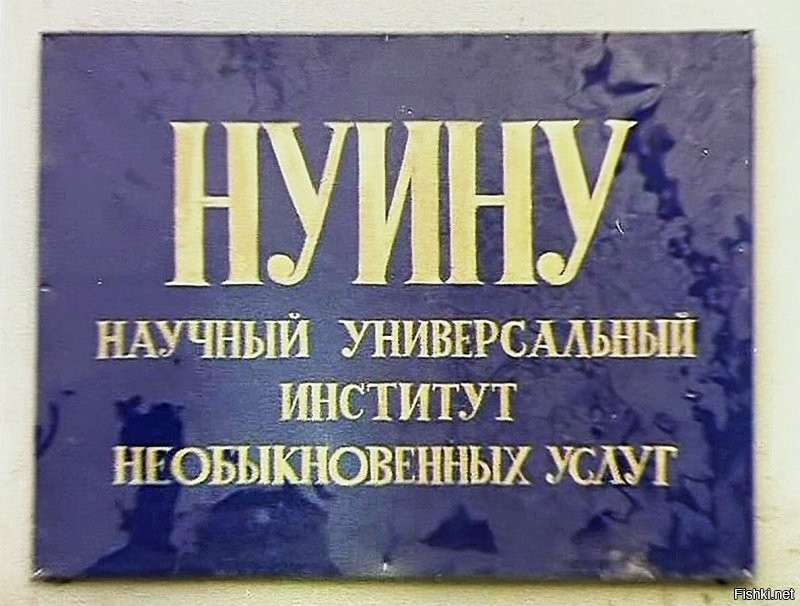 Скорее НУИНУ
