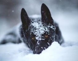 Подборка юмора для автолюбителей