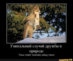 12 трогательных поступков незнакомцев, которые возвращают веру в людей
