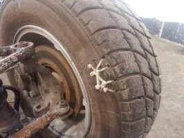 А вот тут премия Дарвина не за горами