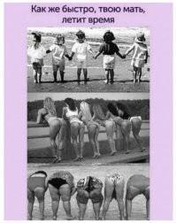 Смешные и познавательные картинки