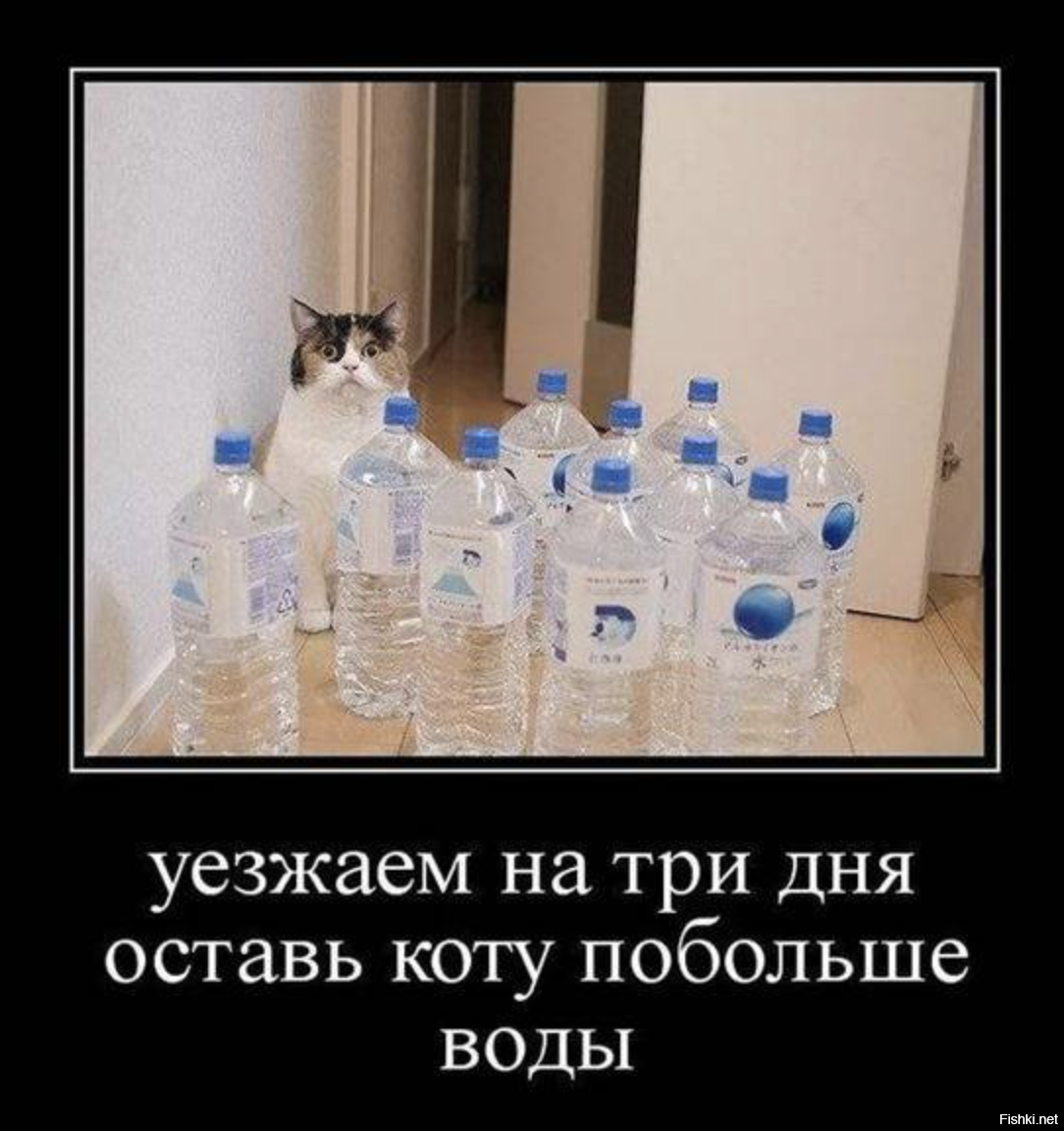 Оставь коту побольше воды