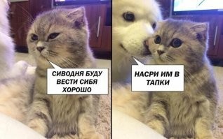 А почему "харашо" не через "а" написано?
Не порядок :)))