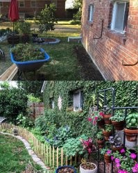 А вот тут позвольте не согласится. Аккуратный стриженый газон с парой клумб смотрится на мой взгляд гораздо эстетичней, а забить всё без разбора зелёнкой - уж увольте. Всегда удивляло, что лучшие участки во всяких садоводческих конкурсах выглядят скорее как цыганский табор. Везде свистелки-пердерки-украшалки и цветочки в каждом углу воткнуты разносортные.