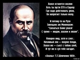 УЕФА проведет дисциплинарное расследование поведения украинских болельщиков на матче по мини-футболу