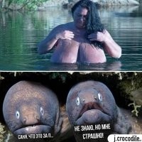 Смешные и познавательные картинки