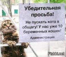 Там могло быть и так...