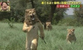 Японцы жгут конечно!