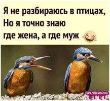 И в чём он не прав? 