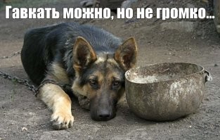 Россияне смогут оставлять негативные комментарии в сети