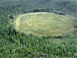 Эта аномальное место расположено в тайге Красноярского края. Как заявляют старожилы этих мест появилась эта поляна относительно недавно, где-то около ста лет назад. Вот как описывают ее появление. В земле появилась огромная трещина, которая стала полыхать сильным огнем и сжигать все вокруг себя. От этого места несколько недель валил густой дым ярко-черного цвета. Когда пламя утихло, то образовалась выгоревшая поляна с черной расщелиной. С тех пор в этом месте стали происходить необъяснимые явления.

Все животные, которые попадали на поляну тут же погибали. Птицы пролетавшие над ней падали замертво. Со временем это место стало усыпано костями животных и птиц, что создавало очень жуткую картину. Люди, приближавшиеся к этому месту, за несколько километров до него уже начинали испытывать страх и недомогания.

Несколько десятков человек погибло в этих местах. Несколько экспедиций, которые направлялись на поляну для исследования пропали без вести.